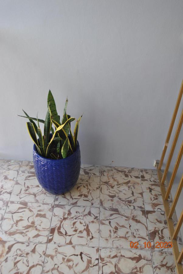 Appartement Sleeps 8, Havana Nights In Miami Extérieur photo